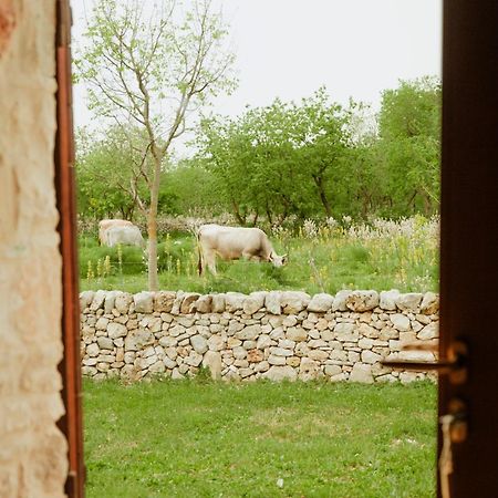 Tenuta Tedone Consolini Villa Ruvo di Puglia Buitenkant foto