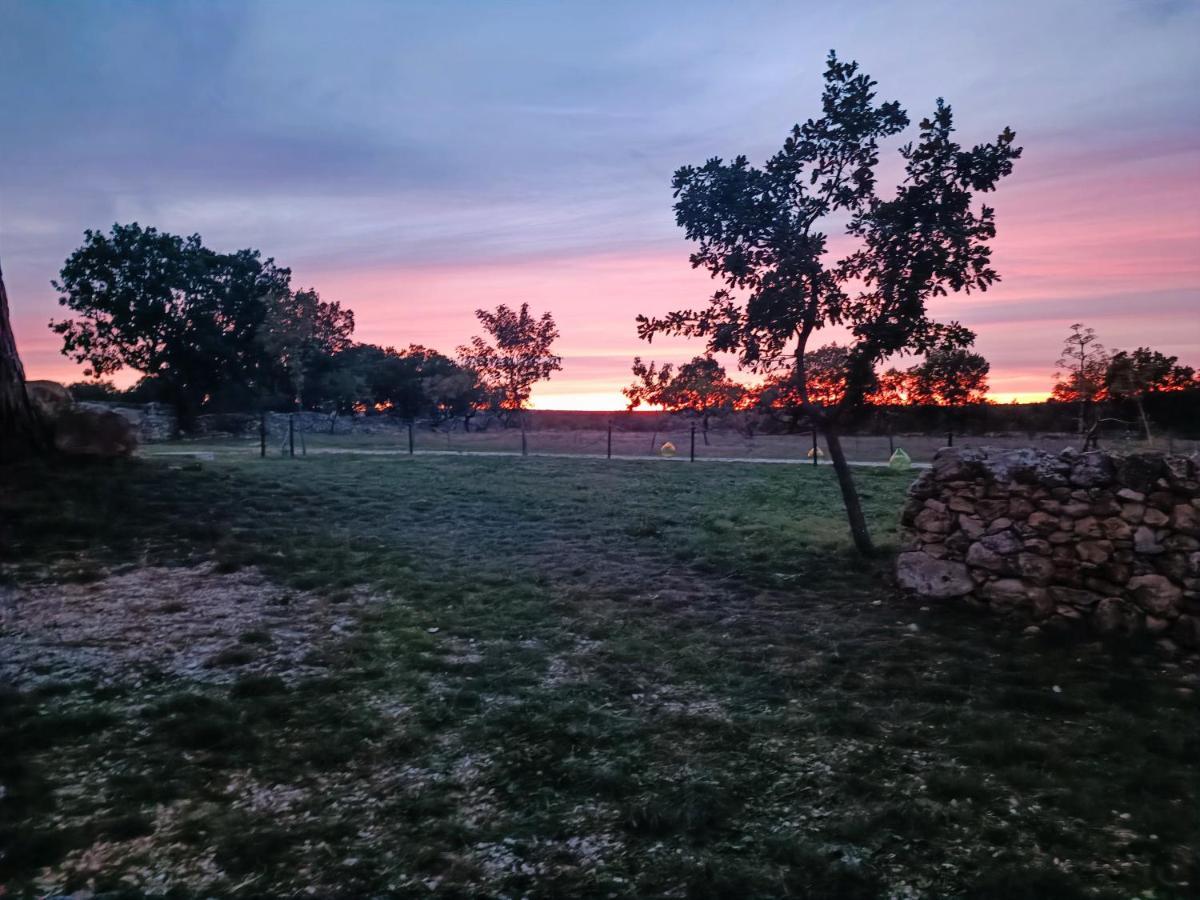 Tenuta Tedone Consolini Villa Ruvo di Puglia Buitenkant foto