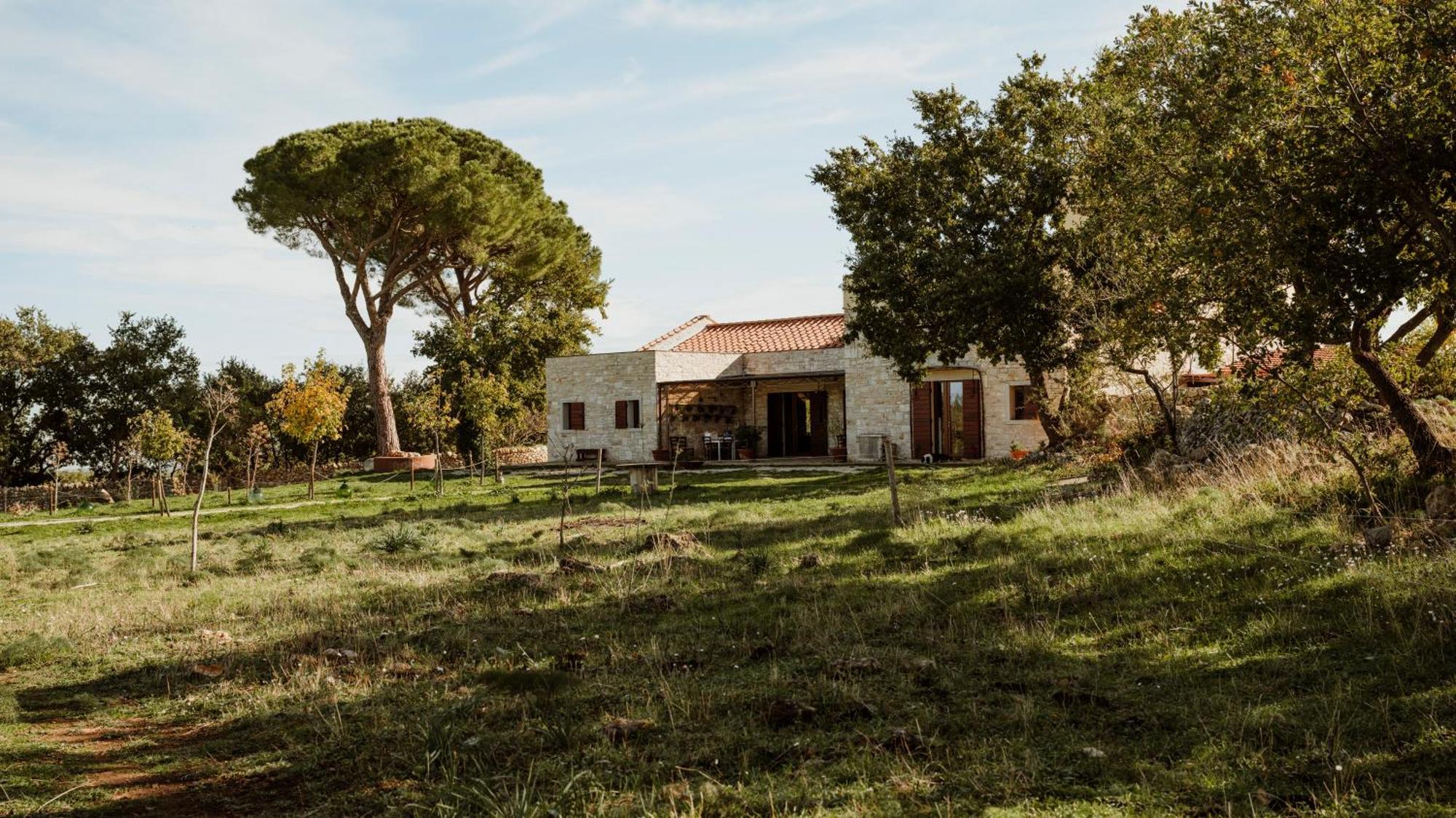 Tenuta Tedone Consolini Villa Ruvo di Puglia Buitenkant foto