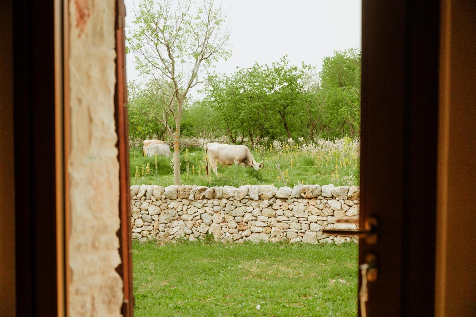 Tenuta Tedone Consolini Villa Ruvo di Puglia Buitenkant foto