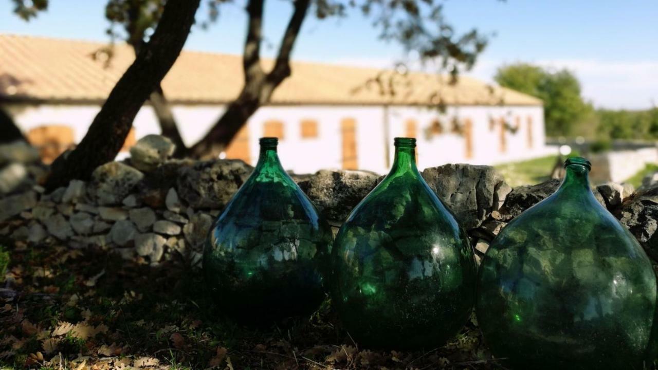 Tenuta Tedone Consolini Villa Ruvo di Puglia Buitenkant foto