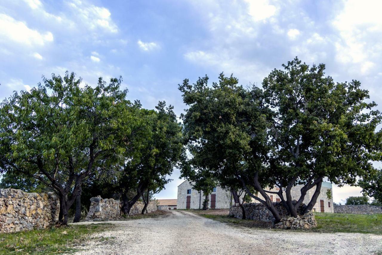 Tenuta Tedone Consolini Villa Ruvo di Puglia Buitenkant foto