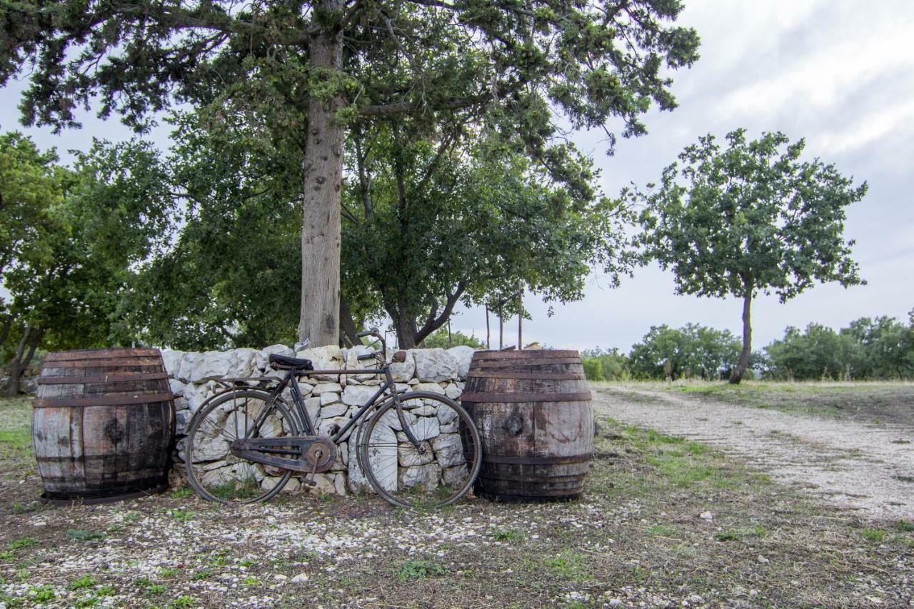 Tenuta Tedone Consolini Villa Ruvo di Puglia Buitenkant foto
