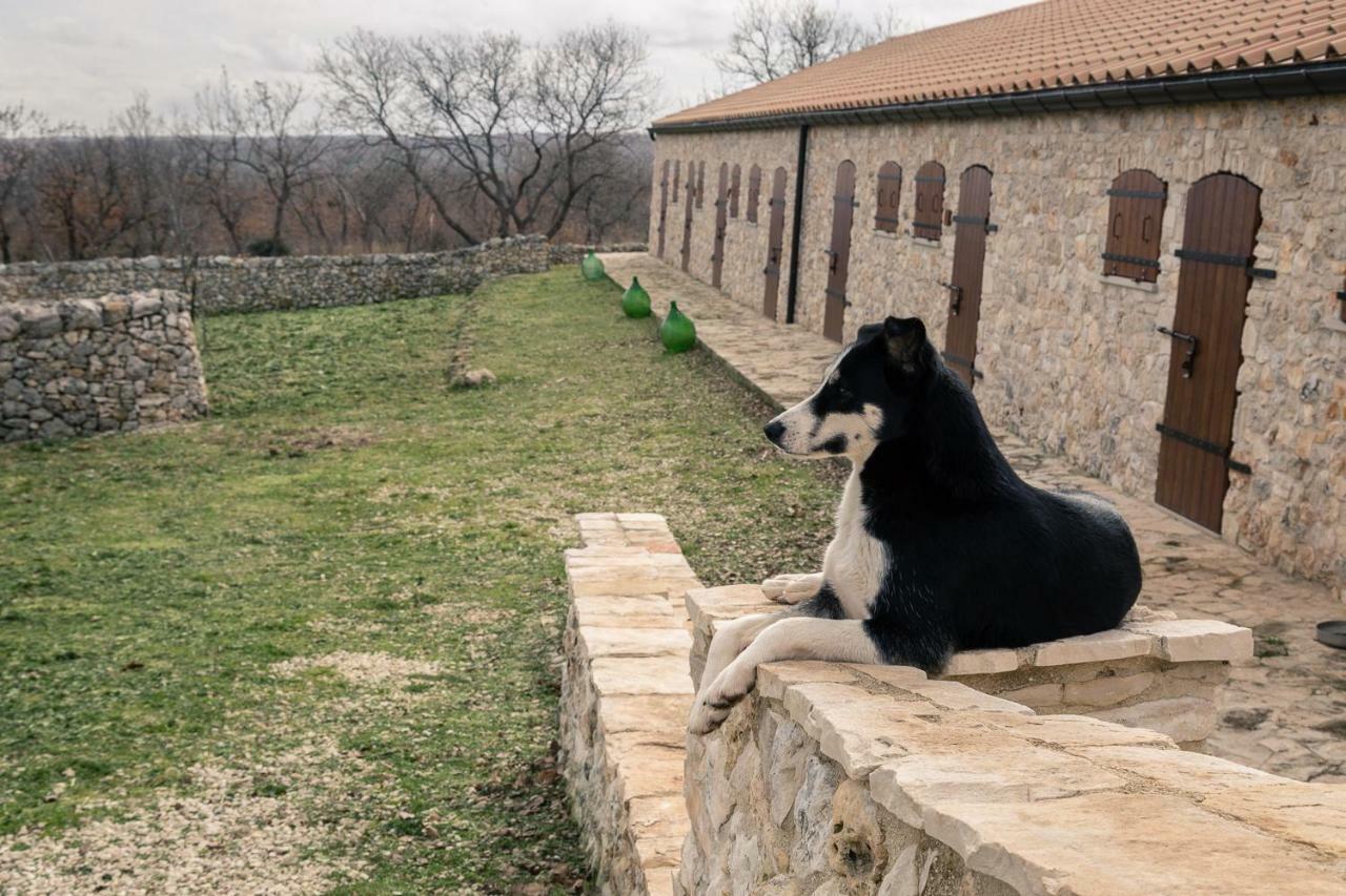 Tenuta Tedone Consolini Villa Ruvo di Puglia Buitenkant foto