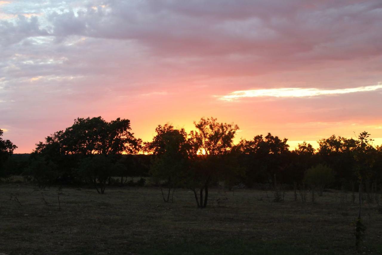 Tenuta Tedone Consolini Villa Ruvo di Puglia Buitenkant foto