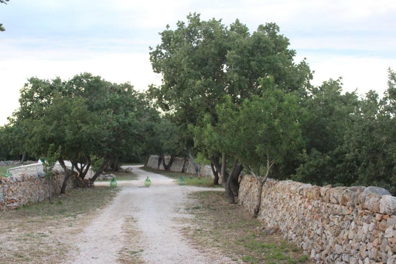 Tenuta Tedone Consolini Villa Ruvo di Puglia Buitenkant foto