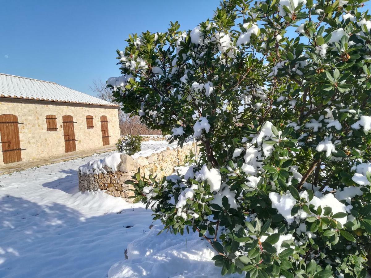 Tenuta Tedone Consolini Villa Ruvo di Puglia Buitenkant foto