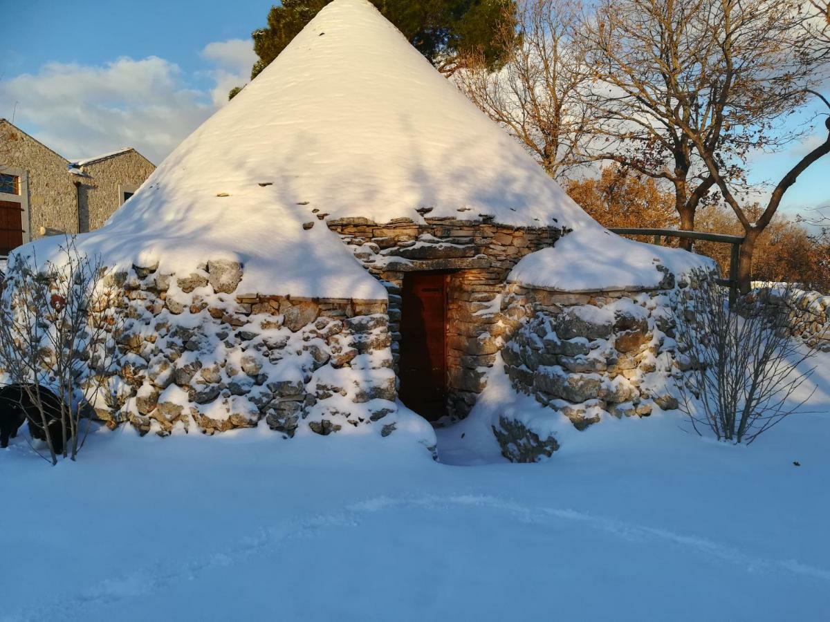 Tenuta Tedone Consolini Villa Ruvo di Puglia Buitenkant foto